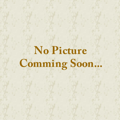 グレイスレジストーン　ブラックMIX【セメント系人造石｜レジストーン】