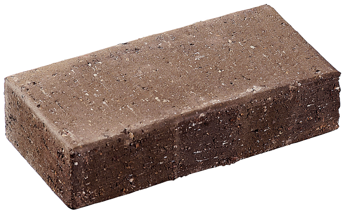 サン　ブラウン