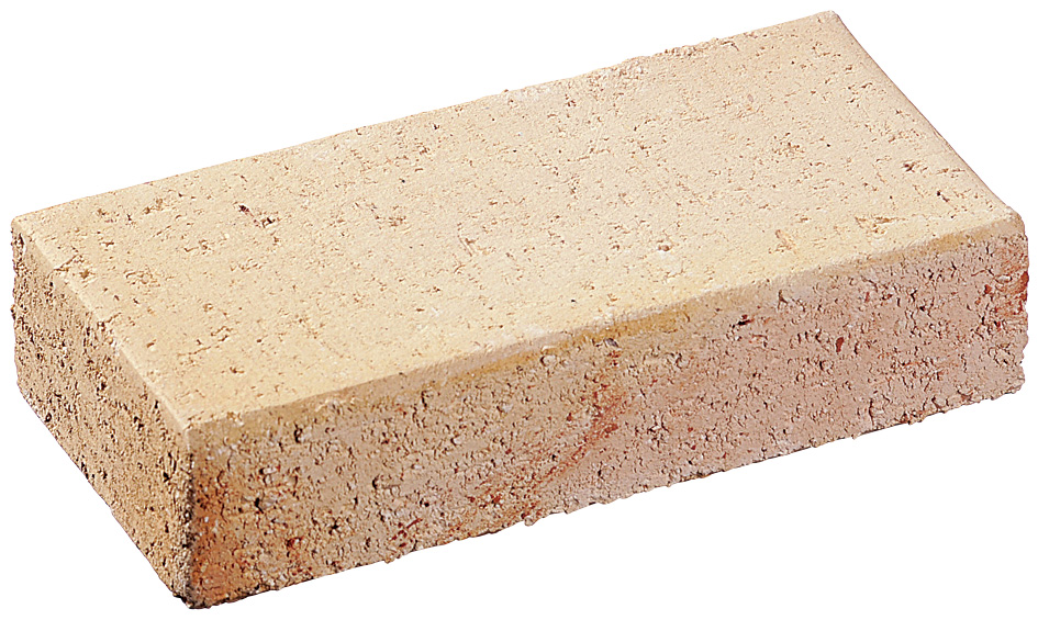 サンゴールデンクリーム