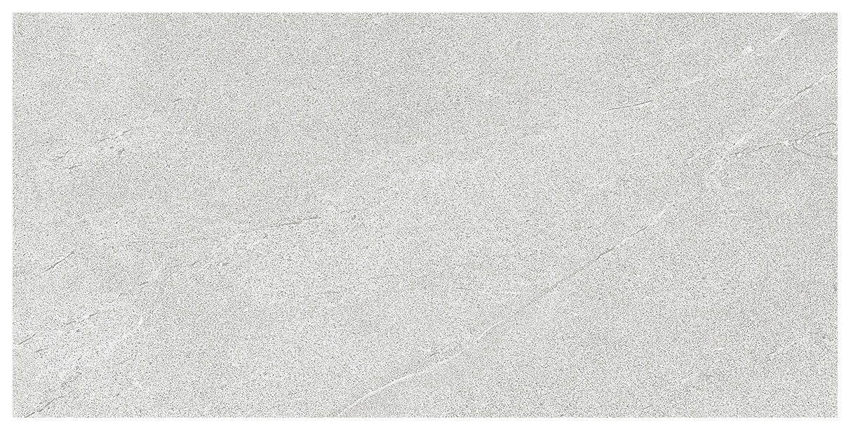 ディスカバリーシルバー